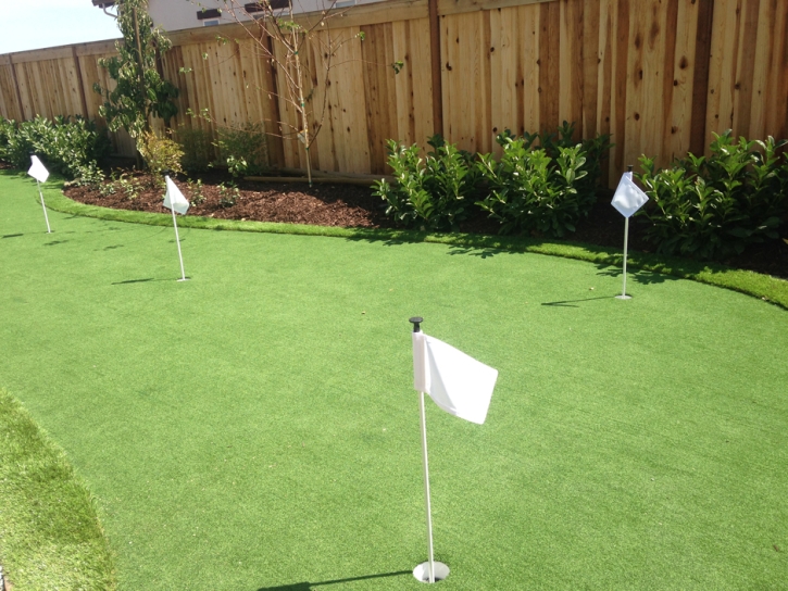 Artificial Turf Cost Bonsall, California Putting Green Carpet, Backyard Landscape Ideas