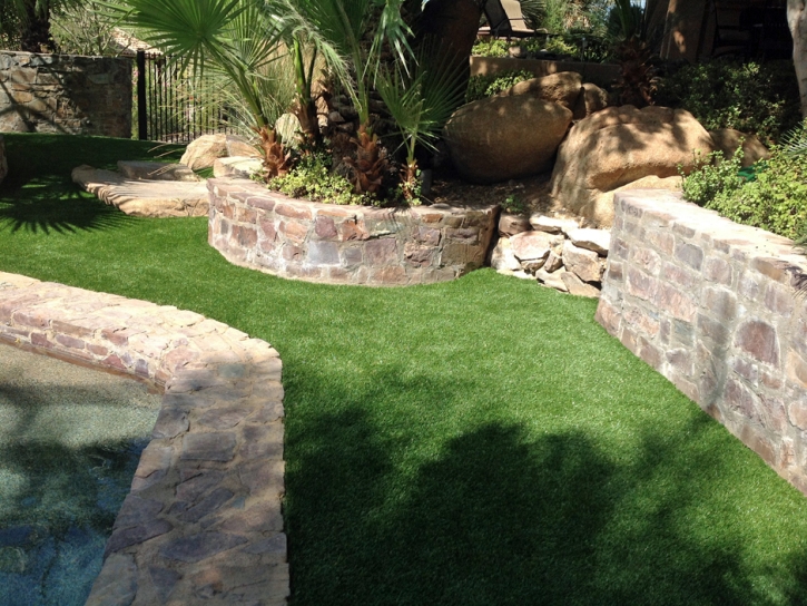 Artificial Turf Cost Coronado, California Artificial Turf For Dogs, Backyard Landscape Ideas