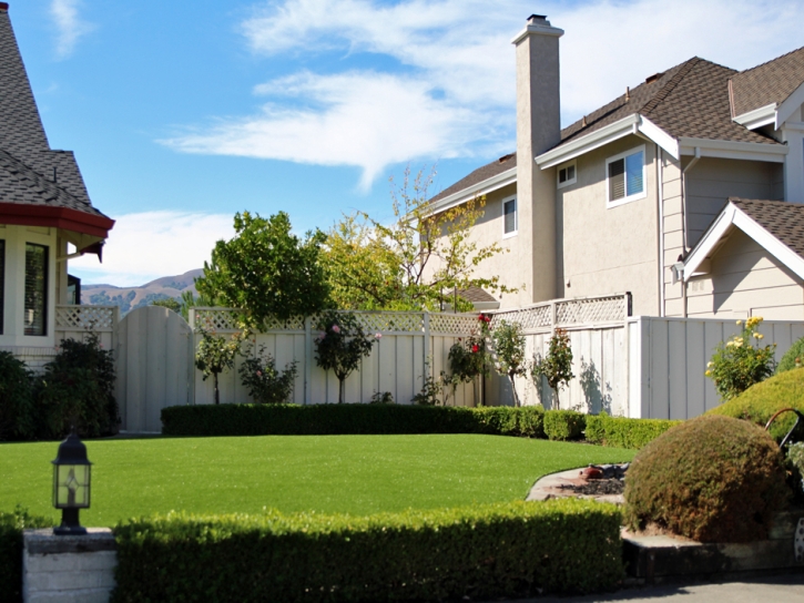 Artificial Turf Cost Rainbow, California Lawns, Front Yard Landscaping Ideas