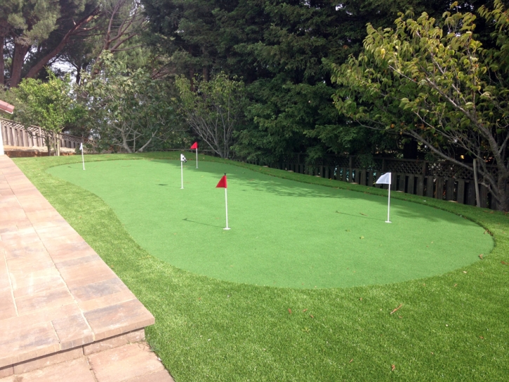 Artificial Turf Cost Spring Valley, California Putting Green Turf, Backyard Designs