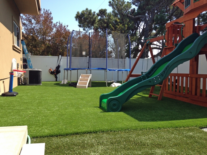 Artificial Turf Installation Descanso, California Landscape Ideas, Backyard Landscaping Ideas