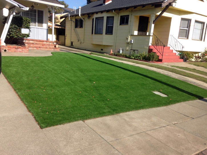 Artificial Turf Installation Eucalyptus Hills, California Landscape Photos, Front Yard Landscape Ideas