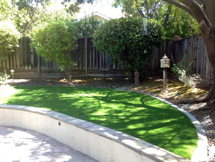 Artificial Turf Installation Harbison Canyon, California Design Ideas, Commercial Landscape