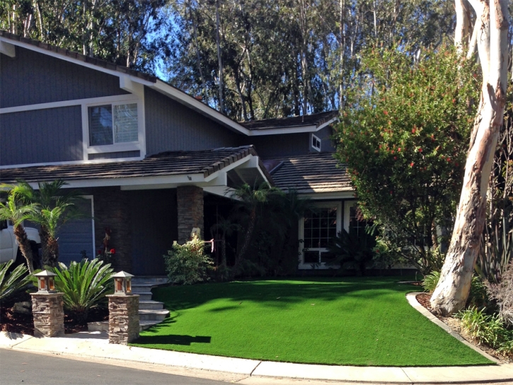 Artificial Turf Installation Lake San Marcos, California Rooftop, Front Yard Landscape Ideas