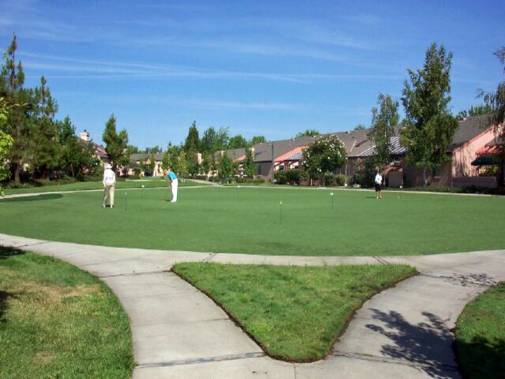 Artificial Turf Installation Pine Valley, California Landscape Ideas, Commercial Landscape