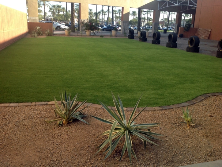 Artificial Turf Jacumba, California Landscaping Business, Commercial Landscape