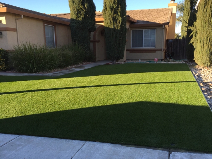 Artificial Turf Lakeside, California Lawns, Front Yard Ideas