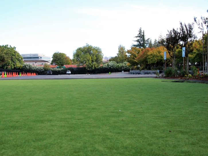 Best Artificial Grass Camp Pendleton South, California Landscape Rock