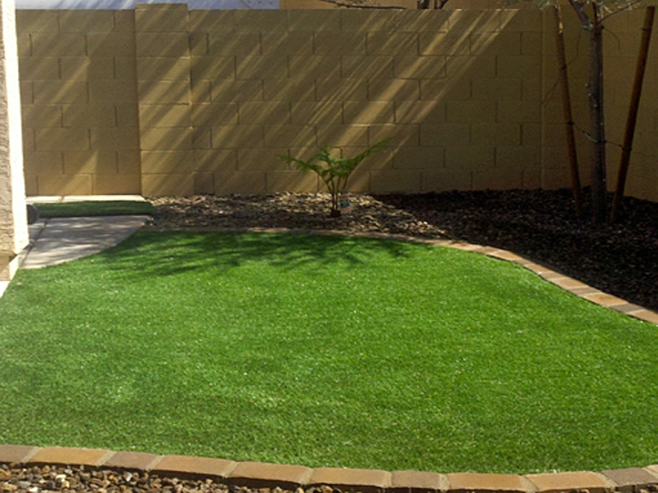 Best Artificial Grass Campo, California Roof Top, Backyard Landscaping