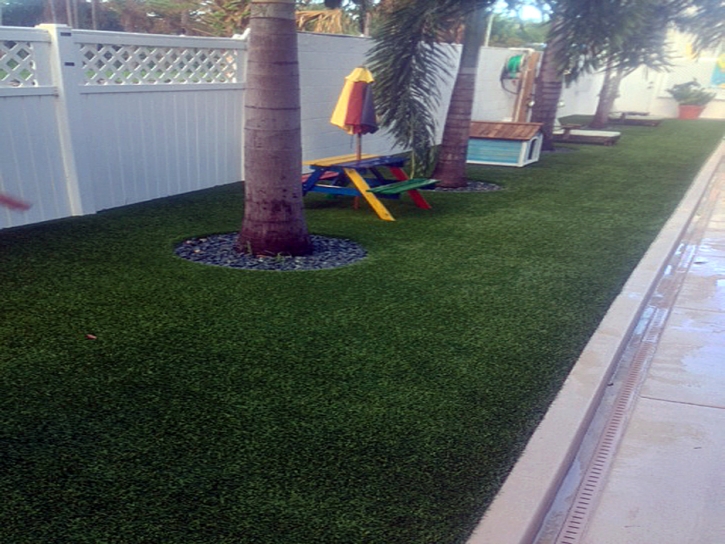 Best Artificial Grass Fairbanks Ranch, California Roof Top, Backyard Makeover