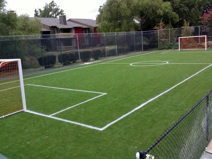 Best Artificial Grass Oceanside, California Football Field, Commercial Landscape