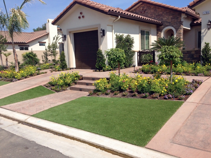 Best Artificial Grass Potrero, California Garden Ideas, Front Yard Landscape Ideas