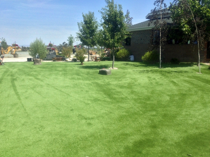 Fake Grass Carpet Alpine, California Pet Paradise, Recreational Areas