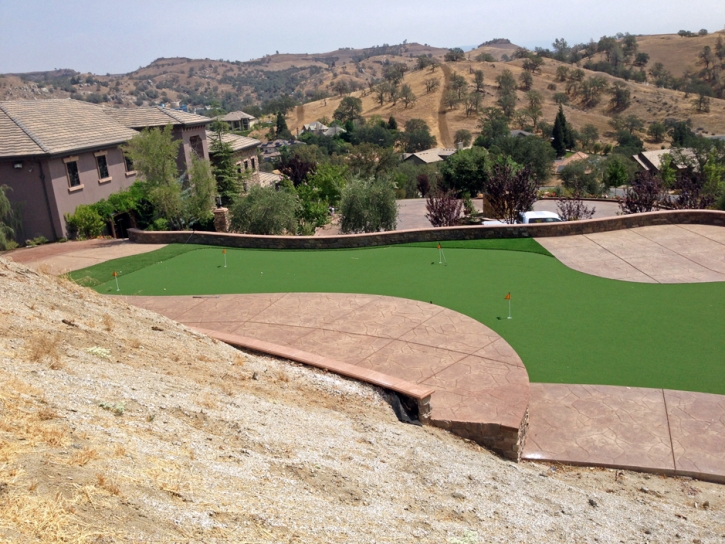 Fake Grass Carpet Chula Vista, California Garden Ideas, Backyard Landscaping