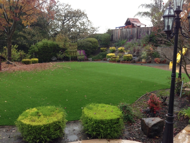 Fake Grass Carpet Descanso, California Landscape Photos, Backyard