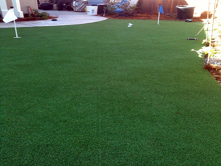 Fake Grass Carpet Eucalyptus Hills, California Diy Putting Green, Backyard Landscaping Ideas