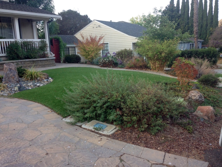 Fake Grass Carpet Fallbrook, California Roof Top, Front Yard Design