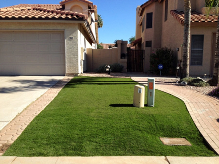 Fake Grass Carpet Lemon Grove, California Garden Ideas, Front Yard Ideas