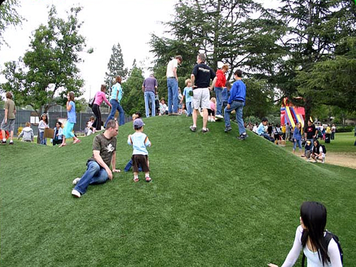 Fake Grass Carpet National City, California Playground, Recreational Areas