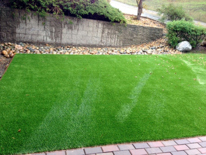 Fake Grass Carpet National City, California Roof Top, Landscaping Ideas For Front Yard