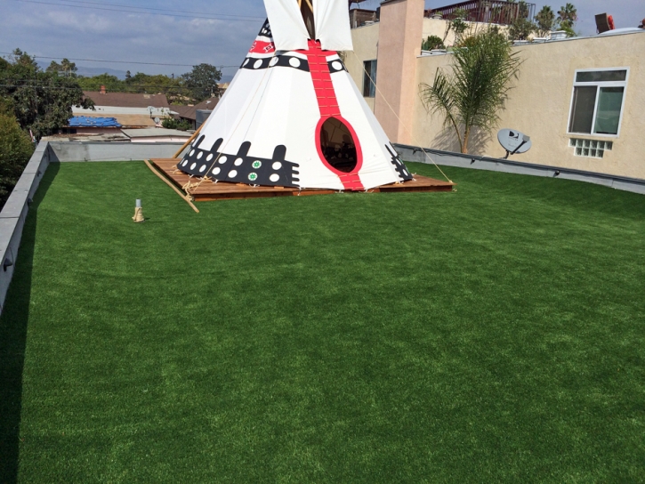 Fake Grass Carpet Potrero, California Rooftop, Deck