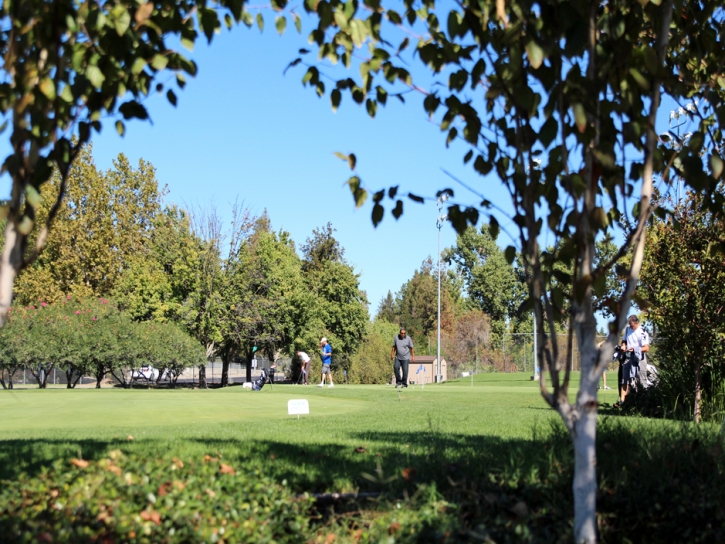 Fake Grass Carpet Ramona, California Landscape Photos