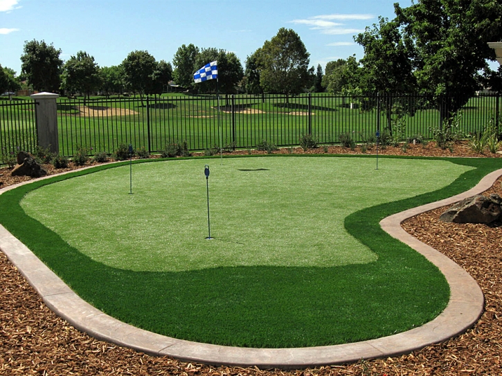 Fake Grass Carpet Ramona, California Putting Green, Backyard Designs