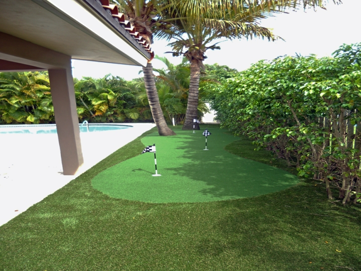 Fake Grass Carpet San Pasqual, California Indoor Putting Green, Backyard Makeover