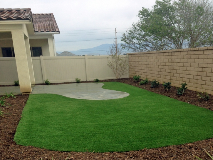 Fake Grass Carpet Spring Valley, California Landscape Design, Backyard