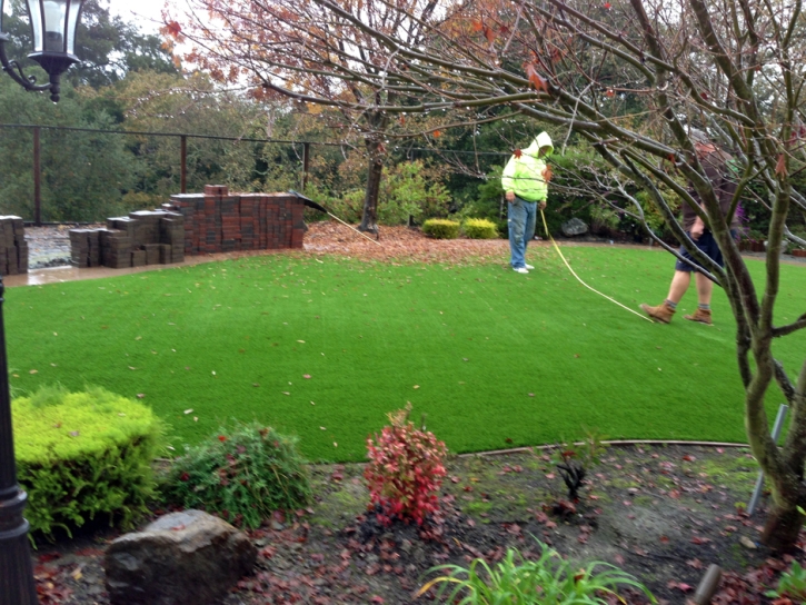 Fake Grass Carpet Winter Gardens, California Home And Garden, Small Backyard Ideas