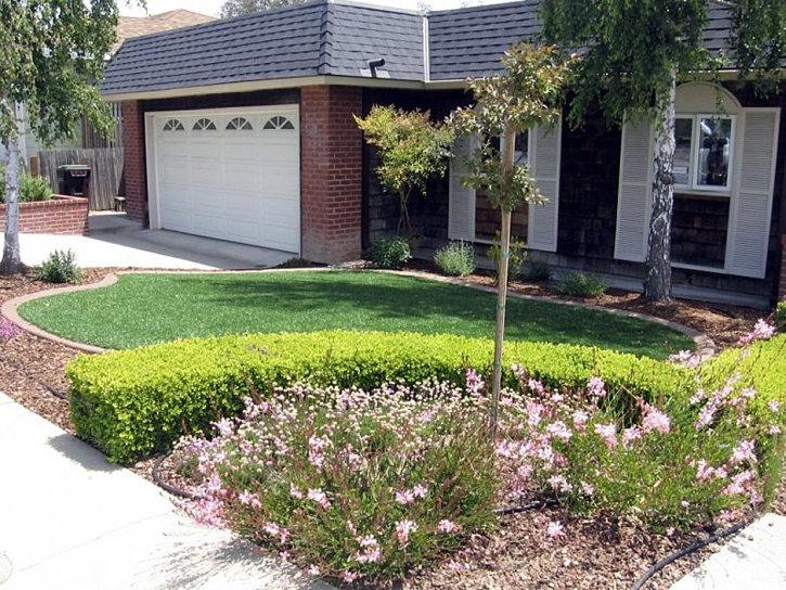 Fake Grass Del Mar, California Lawn And Garden, Front Yard Design