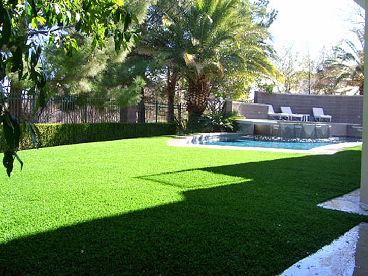 Fake Grass Descanso, California Landscape Photos, Above Ground Swimming Pool