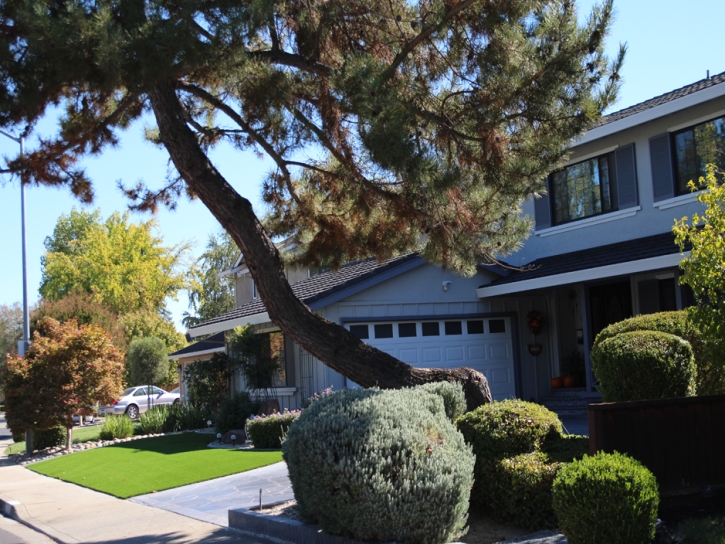 Fake Grass El Cajon, California Landscape Ideas, Small Front Yard Landscaping