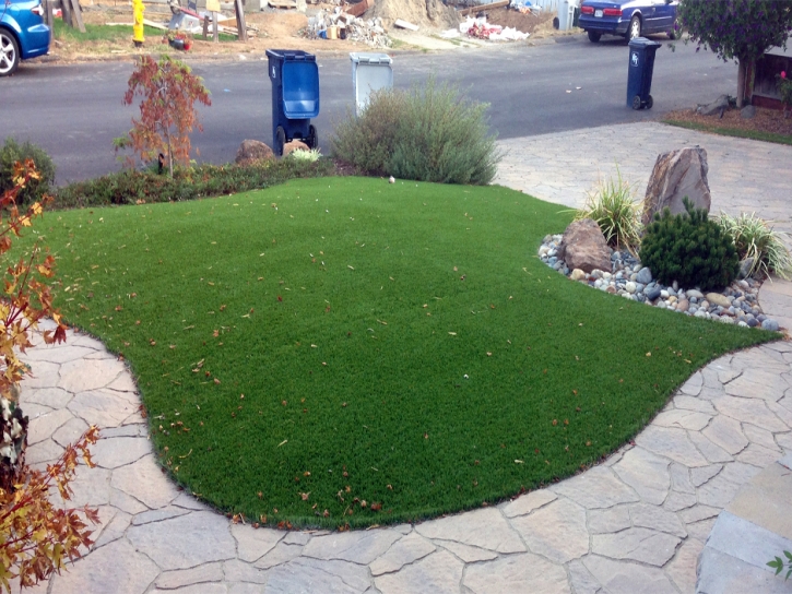 Fake Grass Imperial Beach, California Backyard Playground