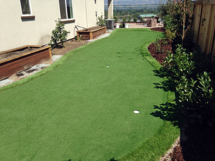 Fake Grass Rancho San Diego, California Landscape Design, Backyard Makeover