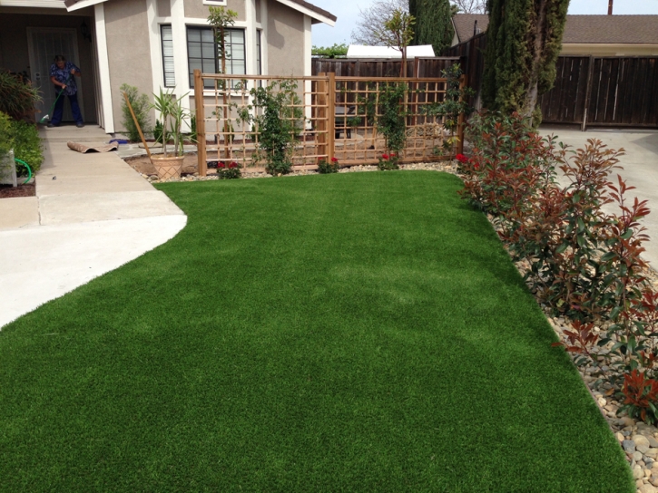 Fake Grass San Marcos, California Lawns, Front Yard Ideas