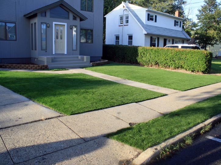 Fake Grass Spring Valley, California Landscaping, Front Yard Landscaping