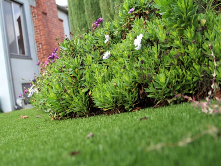 Fake Grass Valley Center, California Gardeners, Front Yard Landscape Ideas