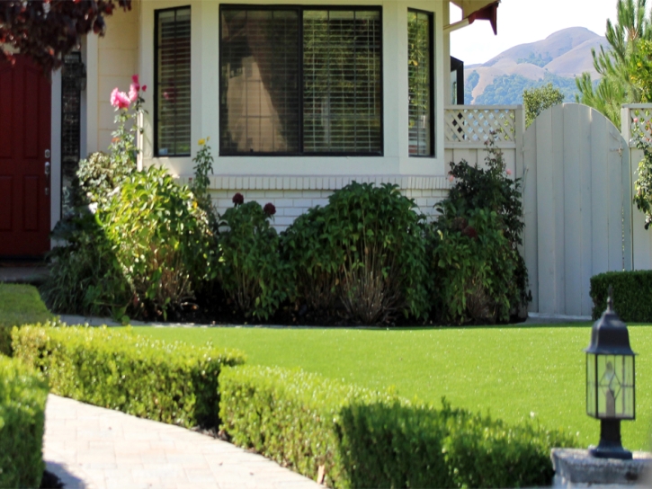 Fake Lawn Bonita, California Landscaping, Front Yard Landscaping Ideas