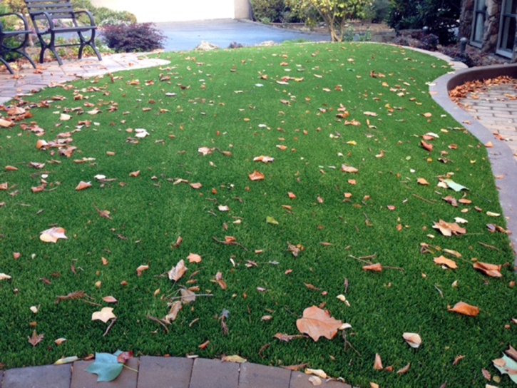 Fake Lawn Campo, California Backyard Playground, Front Yard Landscaping