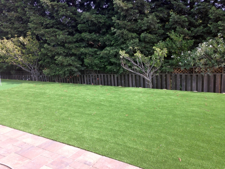 Fake Lawn Crest, California Design Ideas, Backyard Landscape Ideas