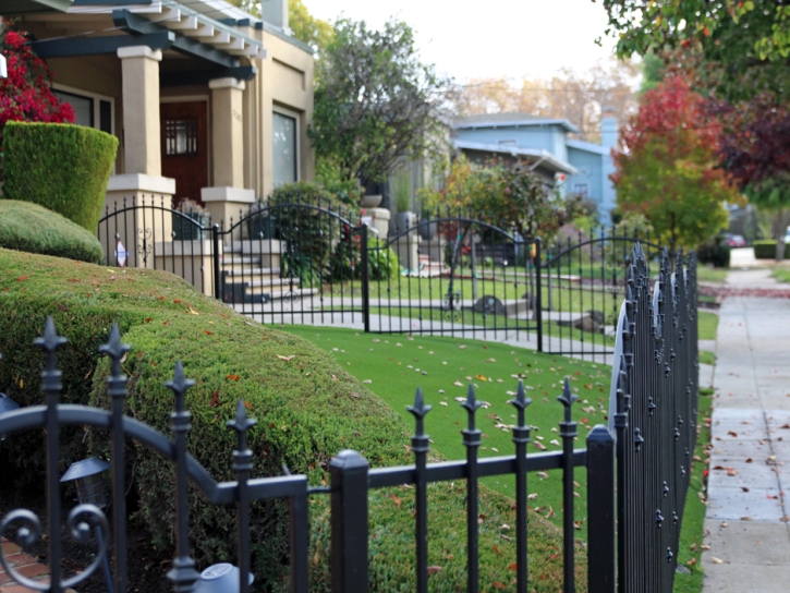 Fake Lawn San Pasqual, California Landscaping, Front Yard Design