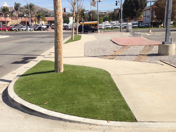 Fake Lawn Vista, California Landscaping Business, Commercial Landscape