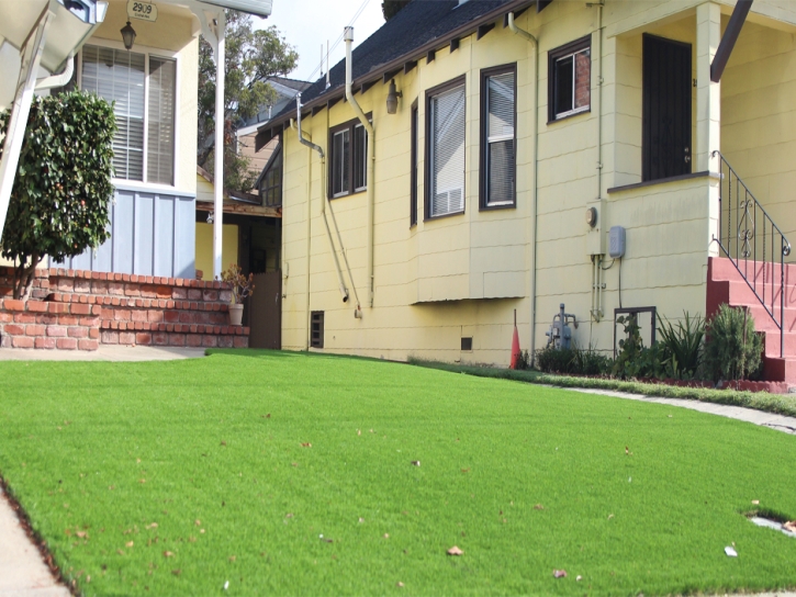 Fake Turf Bonita, California Roof Top, Front Yard