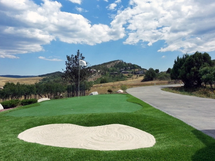 Fake Turf Camp Pendleton South, California Design Ideas, Landscaping Ideas For Front Yard