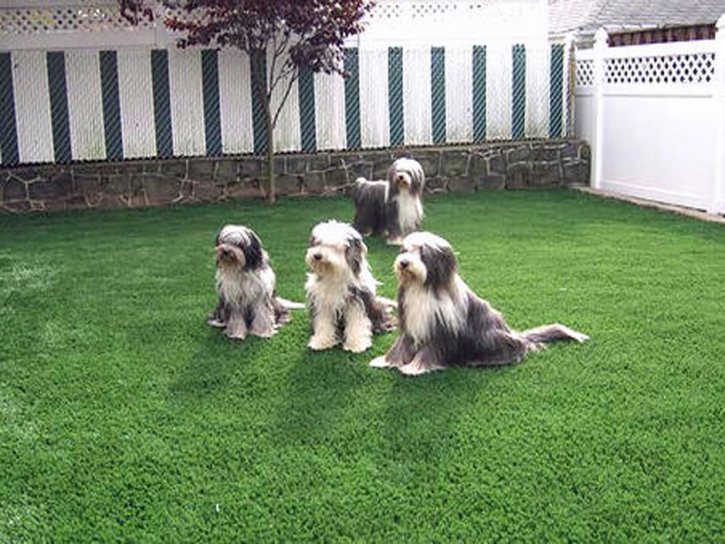 Fake Turf Escondido, California Landscaping, Backyard Garden Ideas