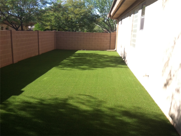 Fake Turf Imperial Beach, California Garden Ideas, Backyard Designs