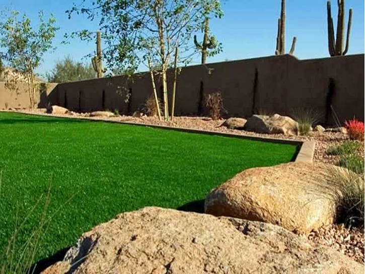 Fake Turf Jamul, California City Landscape, Backyard Design