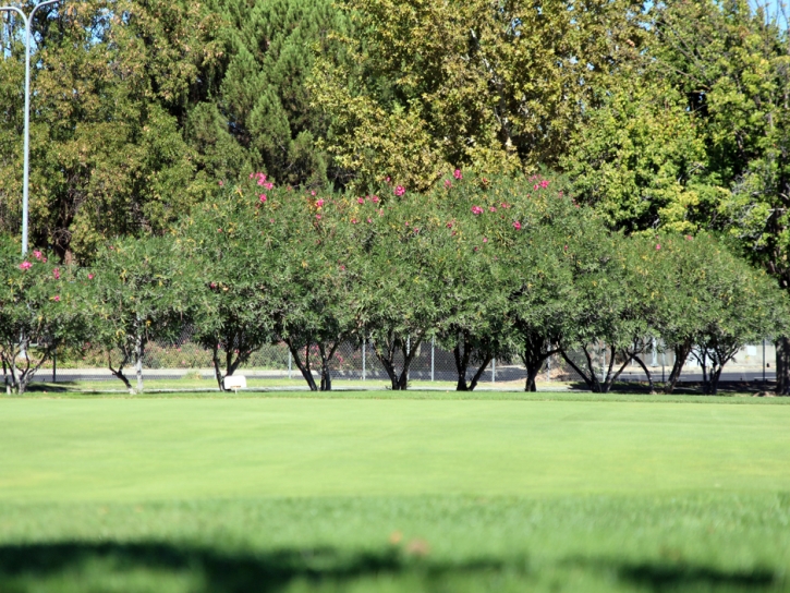 Fake Turf Lake San Marcos, California Golf Green