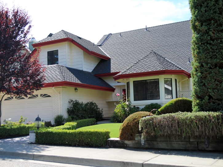 Faux Grass Campo, California Landscape Photos, Front Yard Landscape Ideas